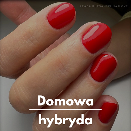 kurs - Domowa hybryda